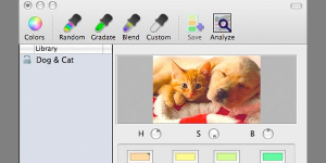 Colorate