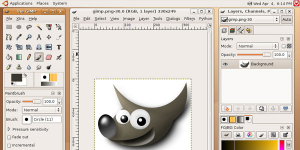GIMP